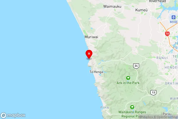 Te Waharoa,Auckland Region Map