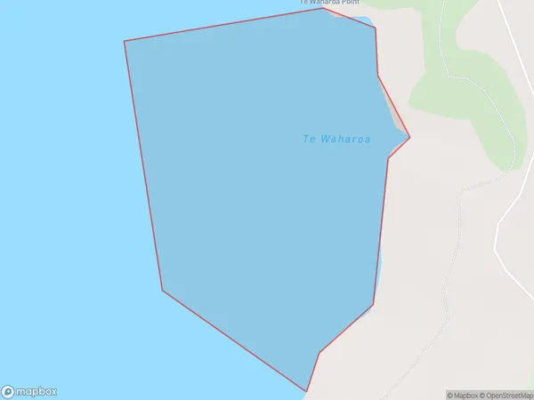 Te Waharoa, Auckland Polygon Area Map