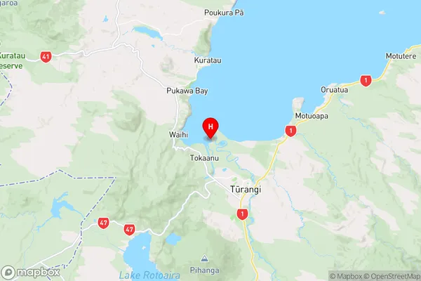 Tokaanu Bay,Waikato Region Map