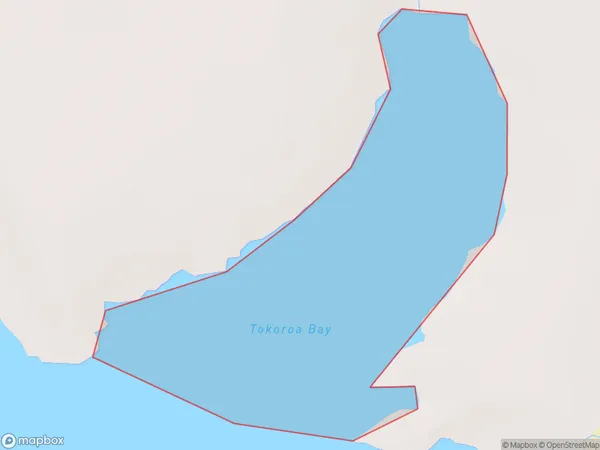 Tokoroa Bay, Canterbury Polygon Area Map