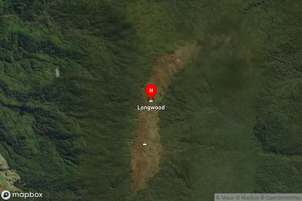 Longwood,Southland Satellite Map