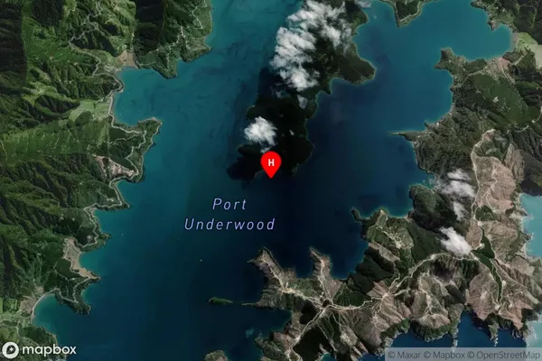 Tongue Bay,Marlborough Satellite Map