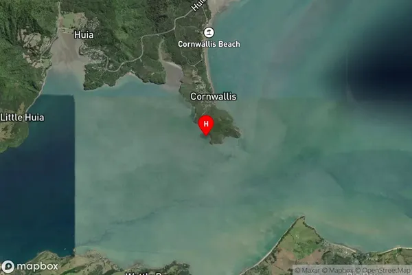 Torea Bay,Auckland Satellite Map