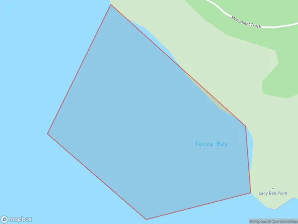 Torea Bay, Auckland Polygon Area Map