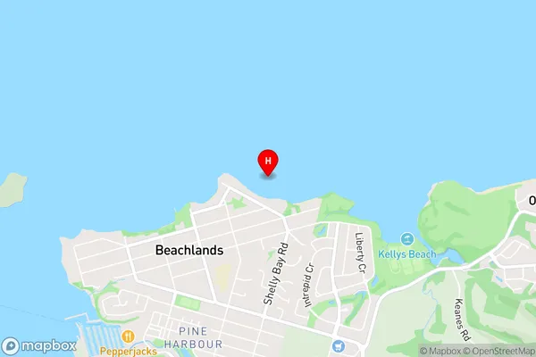 View Bay,Auckland Area Map