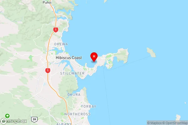 Waiau Bay,Auckland Region Map