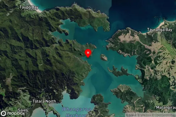 Waihi Bay,Northland Satellite Map