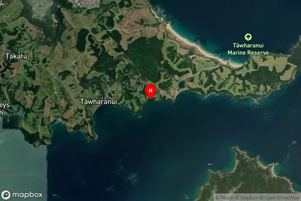 Waikauri Bay,Auckland Satellite Map