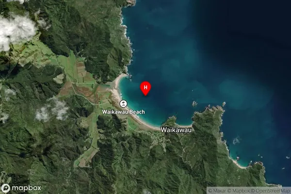Waikawau Bay,Waikato Satellite Map