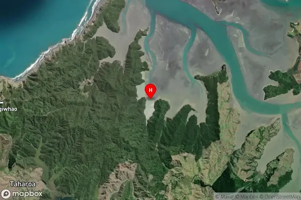 Waikutakuta Inlet,Waikato Satellite Map