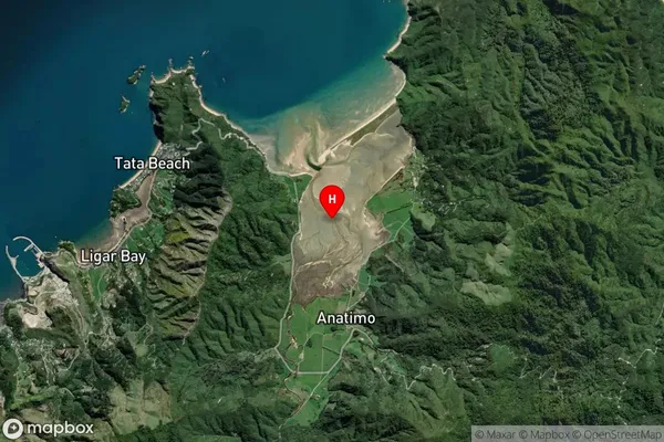 Wainui Inlet,Tasman Satellite Map