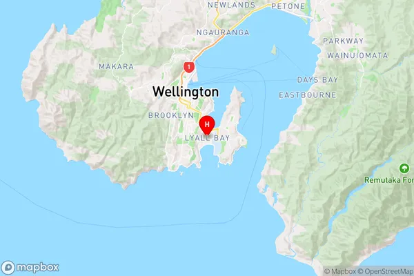 Lyall Bay,Wellington Region Map