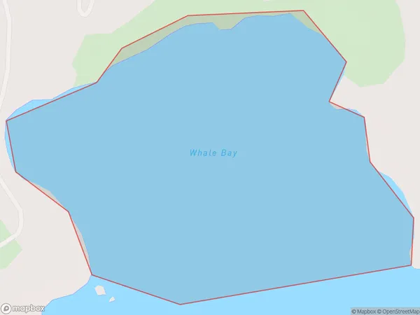 Whale Bay, Northland Polygon Area Map
