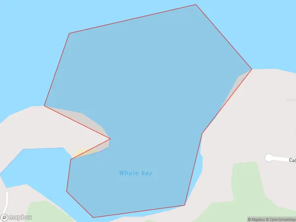 Whale Bay, Otago Polygon Area Map