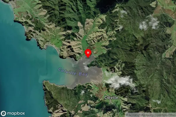 Whangaahei Bay,Waikato Satellite Map