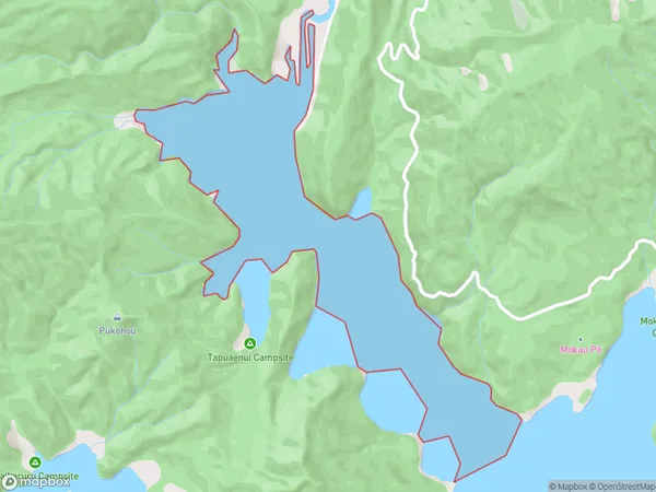 Whanganui Inlet, Otago Polygon Area Map