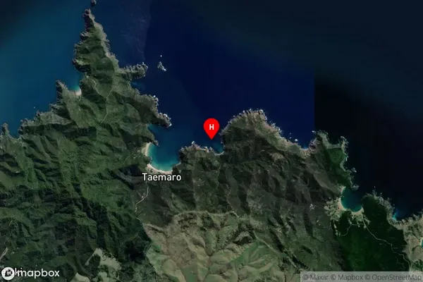Whangarino Bay,Northland Satellite Map