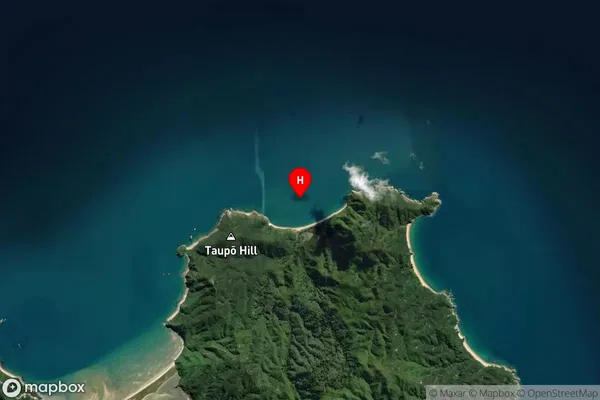Whariwharangi Bay,Tasman Satellite Map