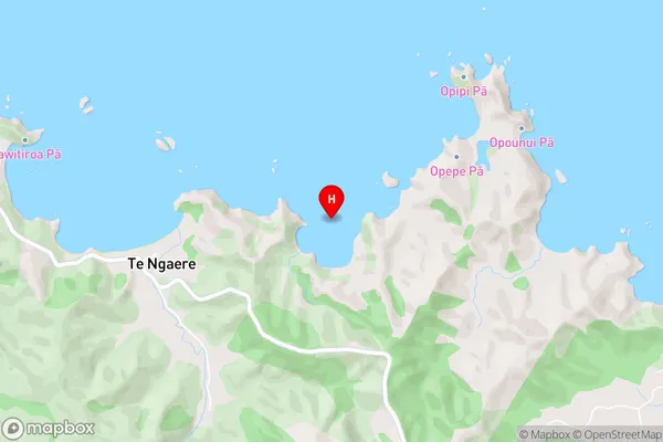 Whau Bay,Northland Area Map