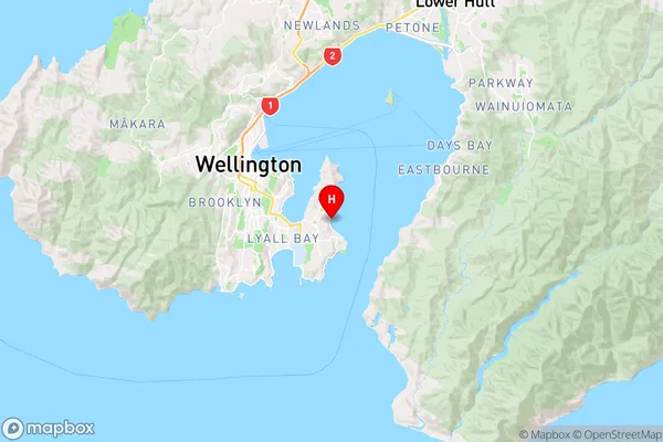 Worser Bay,Wellington Region Map