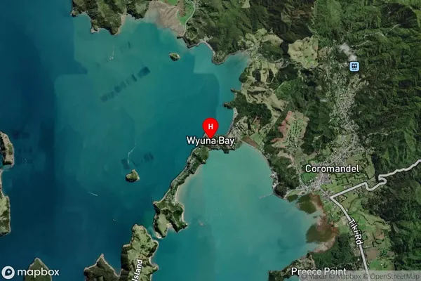 Wyuna Bay,Waikato Satellite Map