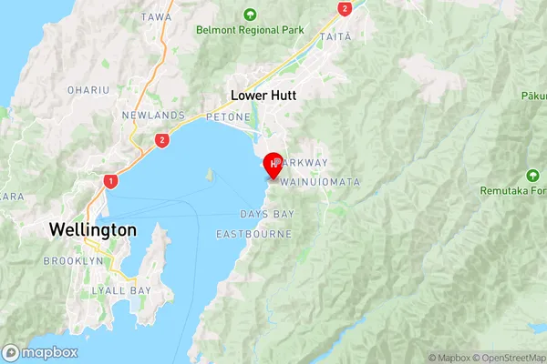 York Bay,Wellington Region Map