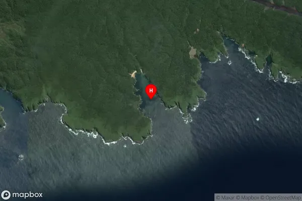 Big Kuri Bay,Southland Satellite Map