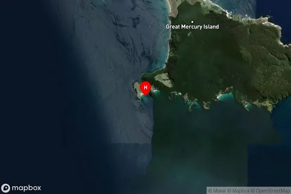 Bumper Cove,Waikato Satellite Map