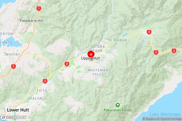 Maidstone,Wellington Region Map