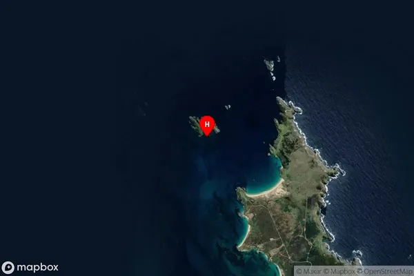 Commodore Bay,Northland Satellite Map