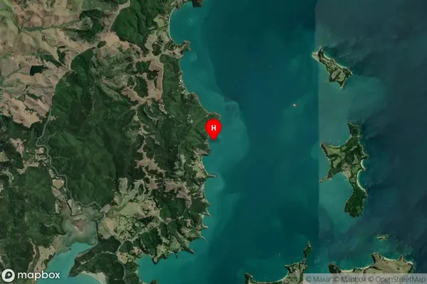 Days Bay,Auckland Satellite Map