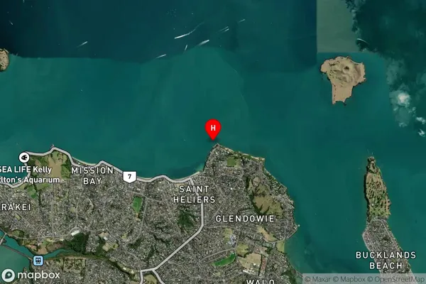 Ladies Bay,Auckland Satellite Map