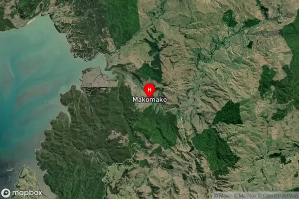 Makomako,Waikato Satellite Map