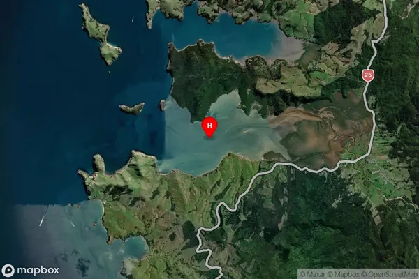 Manaia Harbour,Waikato Satellite Map