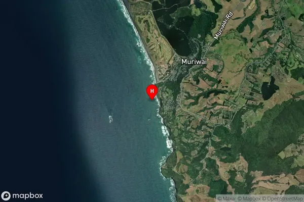 Maukatia Bay,Auckland Satellite Map