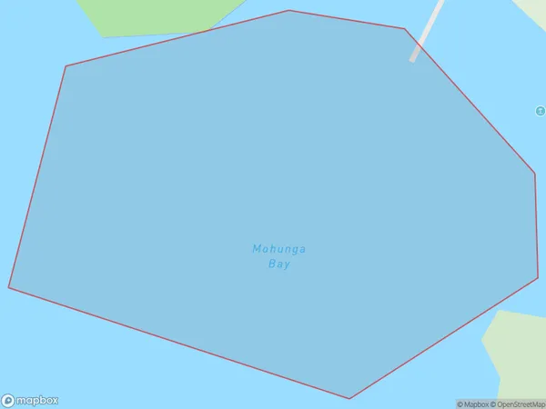 Mohunga Bay, Auckland Polygon Area Map