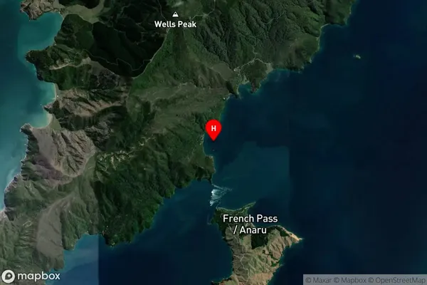 Ngamuka Bay,Marlborough Satellite Map