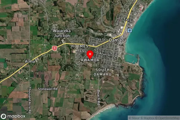 Awamoa,Otago Satellite Map