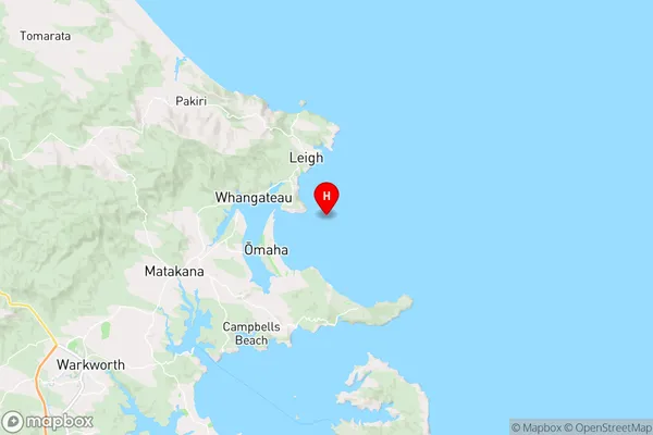 Omaha Bay,Auckland Region Map