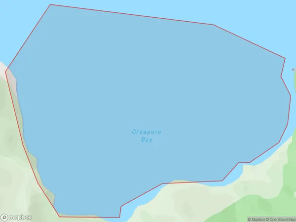 Oruapure Bay, Auckland Polygon Area Map