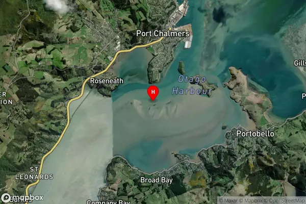 Otago Harbour,Otago Satellite Map