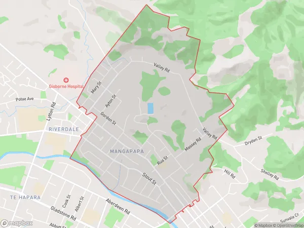 Mangapapa, Gisborne Polygon Area Map