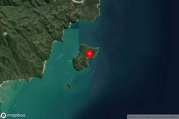 Stream Cove,Tasman Satellite Map