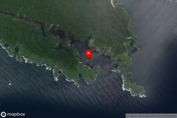 Surveyors Bay,Southland Satellite Map