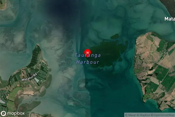 Tauranga Harbour,Bay of Plenty Satellite Map