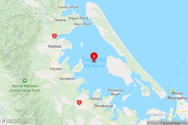 Tauranga Harbour,Bay of Plenty Region Map