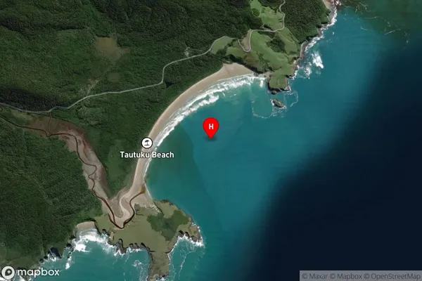 Tautuku Bay,Otago Satellite Map