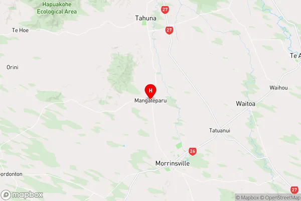 Mangateparu,Waikato Region Map