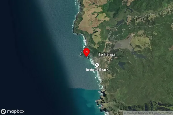 Waitakere Bay,Auckland Satellite Map