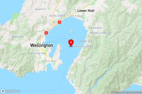 Wellington Harbour / Port Nicholson,Wellington Region Map